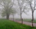 foggy-road-1280.jpg