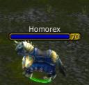 horse-homorex.JPG